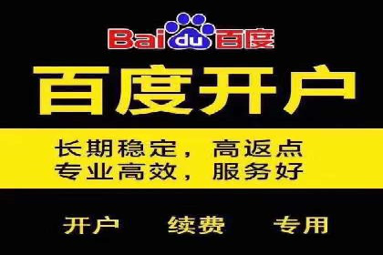 某科技公司的信息流广告投放策略与效果评估